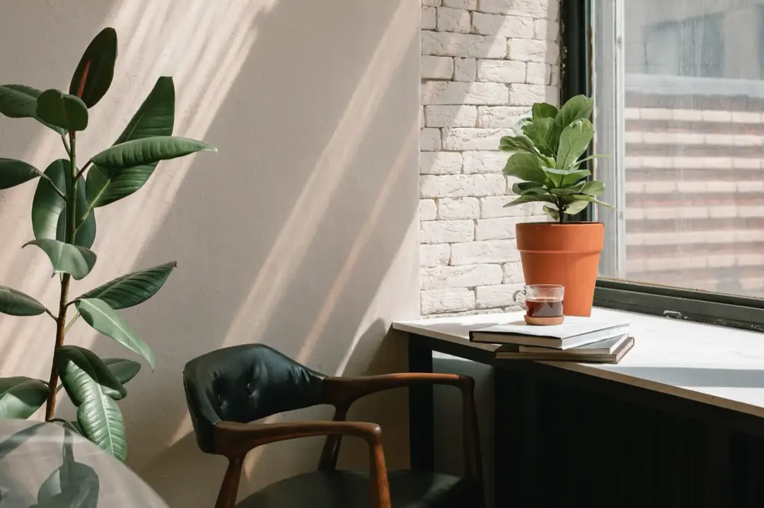 A cup of coffee and books in a quiet office corner.